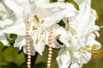 Collier de petites perles